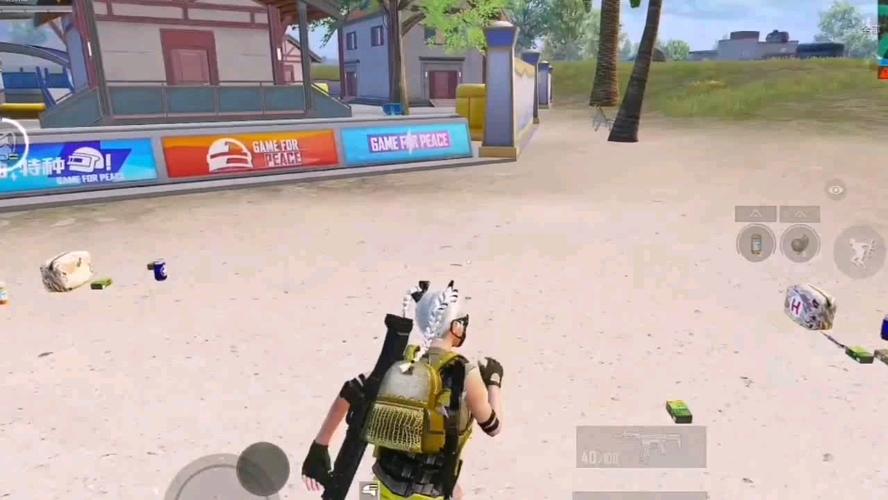 和平精英辅助【小飞侠】