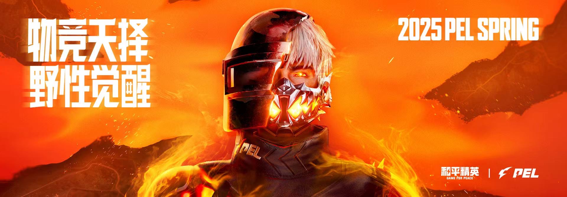 探索和平精英辅助工具背后的技术奥秘